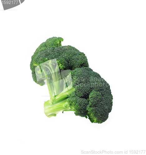 Image of fresh broccoli isolated on white
