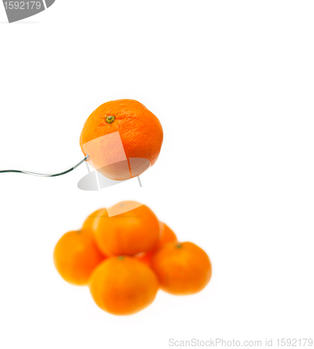 Image of orange mandarin tangerine on fork over white 
