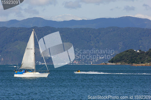 Image of Wellington harbour