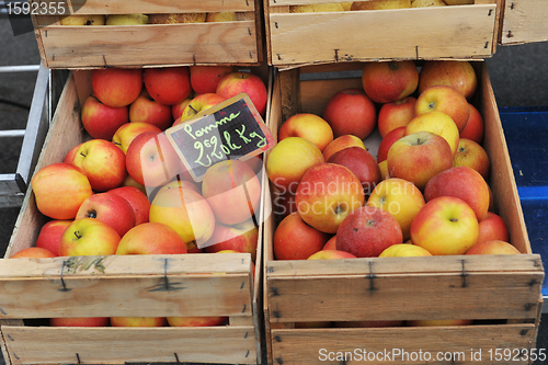 Image of apples