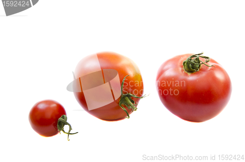 Image of tomato vegetable isolated healthy nutrition food 