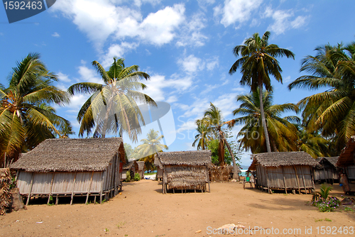 Image of Madagascar 