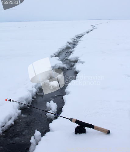 Image of On a perch  fishing