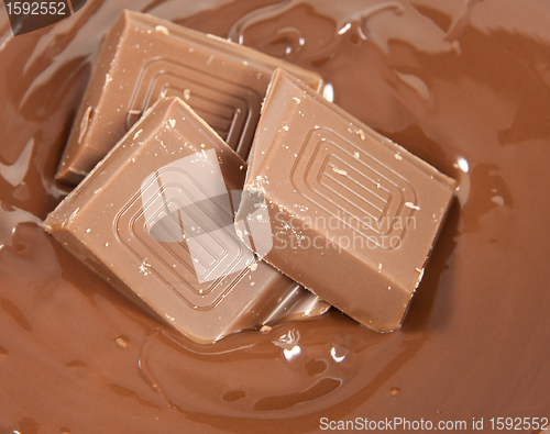 Image of Sleeping chocolate