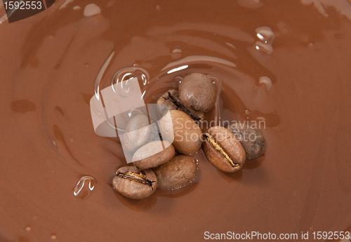 Image of beans on a bed of chocolate