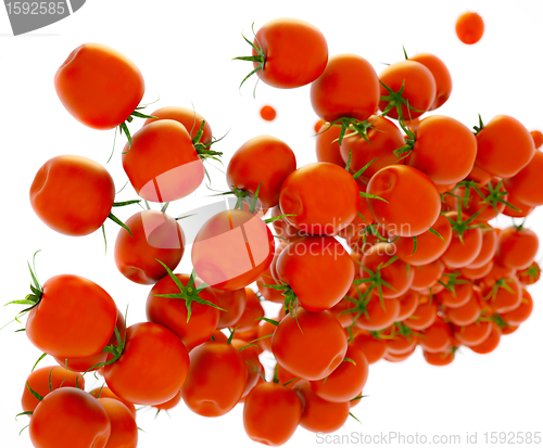 Image of Tasty red tomatoes flow over white 