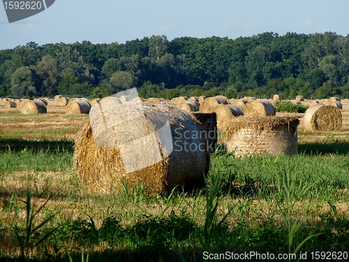 Image of Baranja