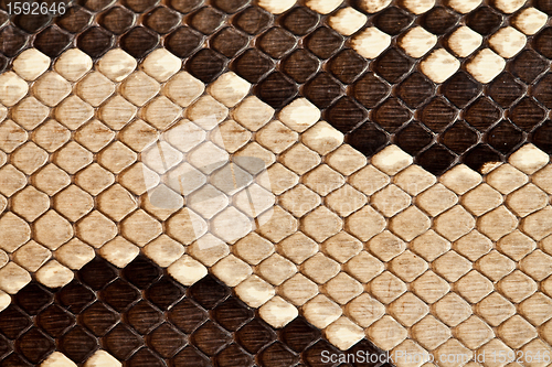 Image of Snake leather texture