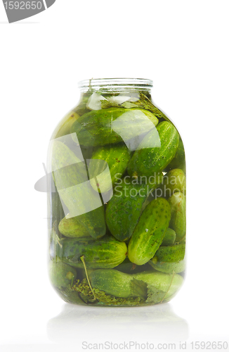 Image of cucumbers