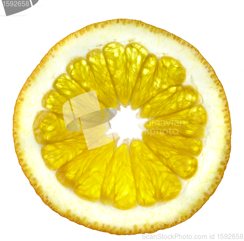 Image of Slice of an orange on a white background.