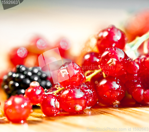 Image of currants