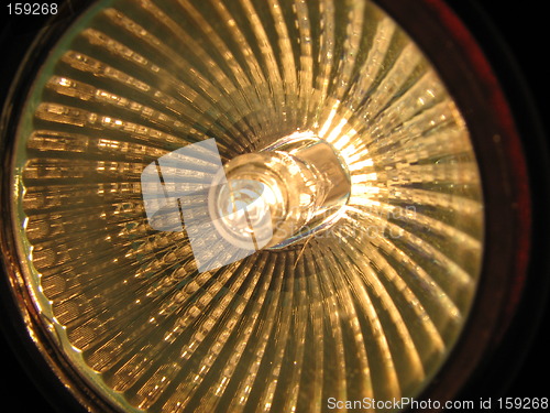 Image of Halogen bulb