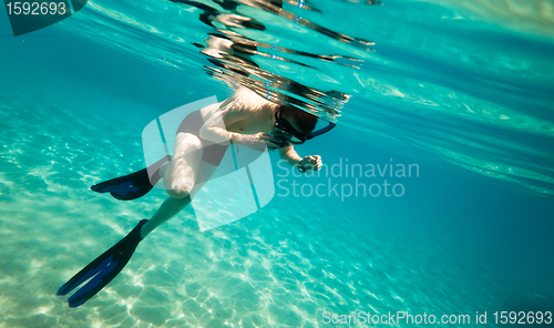 Image of Snorkeler. Red sea