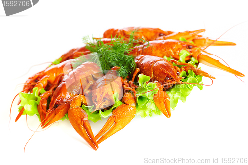 Image of Boiled crawfish 