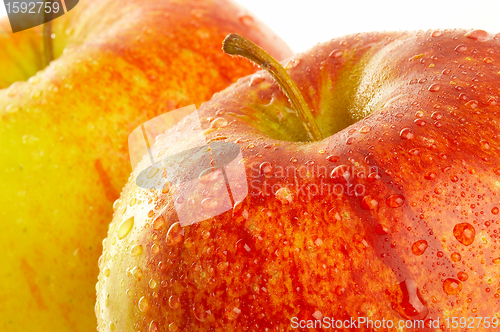 Image of Fresh apple with drops of water.
