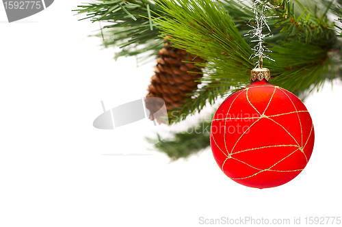 Image of Christmas fur-tree on a white background with a ball 