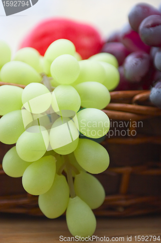 Image of Red and white grape branch in a basket