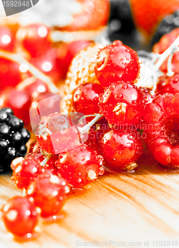 Image of currants