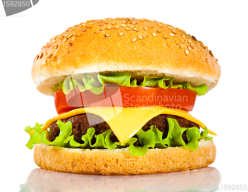 Image of Tasty and appetizing hamburger on a white