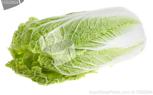 Image of lettuce