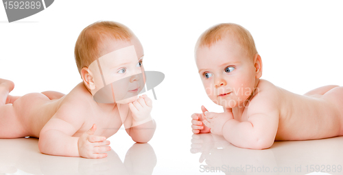 Image of two baby