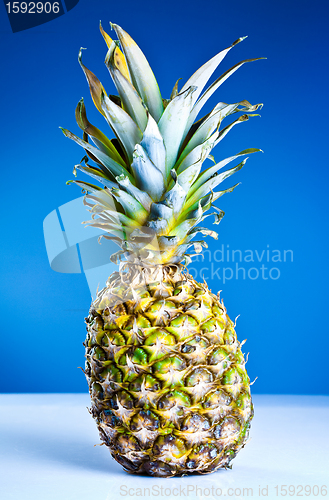 Image of Pineapple