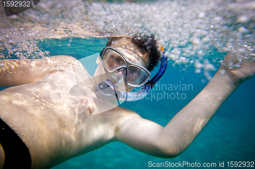 Image of Snorkeler. Red sea