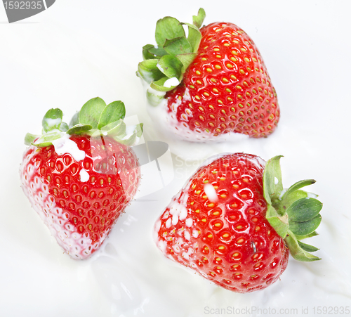 Image of Strawberry