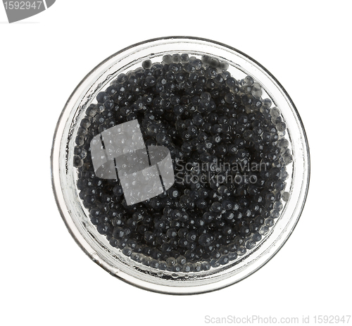 Image of Black caviar