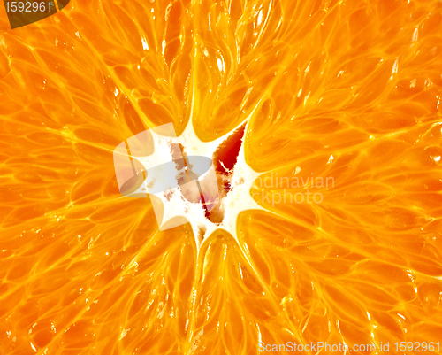 Image of orange