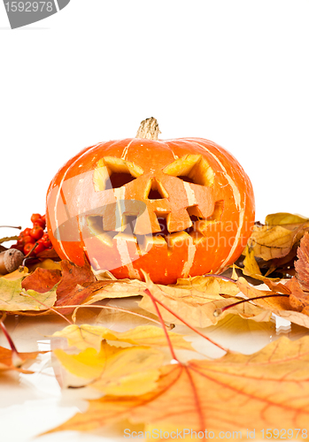 Image of halloween, old jack-o-lantern on white