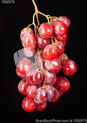 Image of grapes