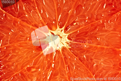 Image of Grapefruit