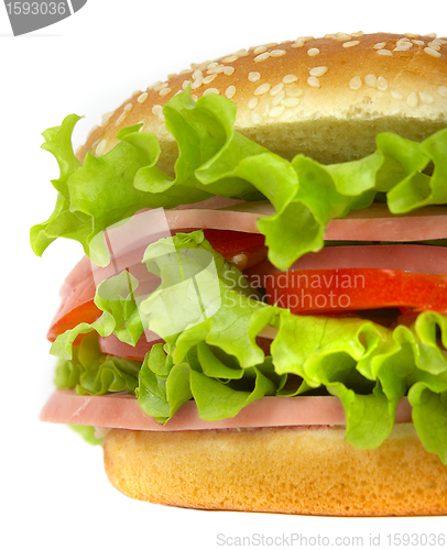 Image of burger