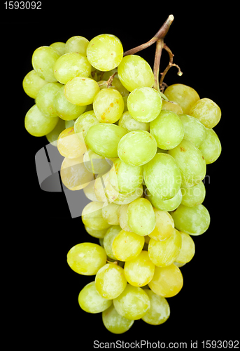 Image of grapes