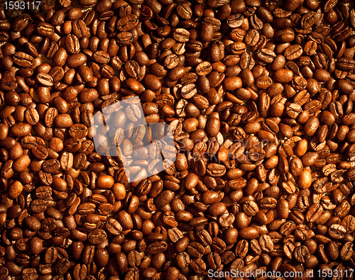 Image of coffee beans