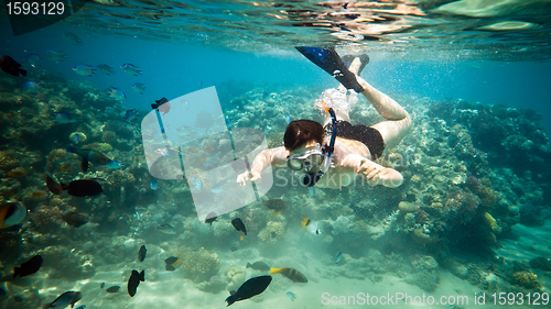 Image of Snorkeler. Red sea