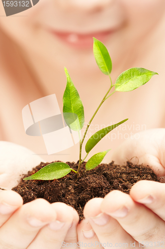 Image of The boy observes cultivation of a young plant.