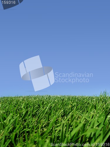 Image of Background of sky and grass