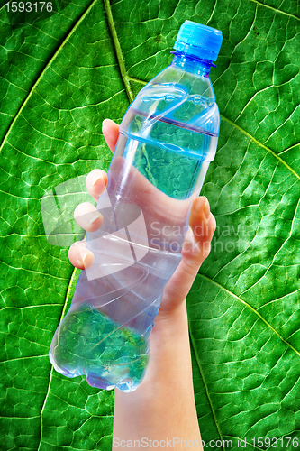 Image of bottle water