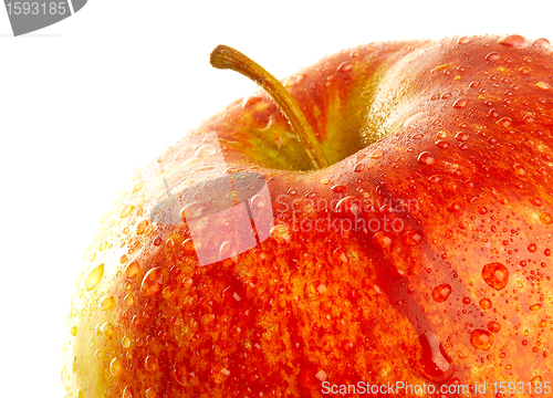 Image of Fresh apple with drops of water.