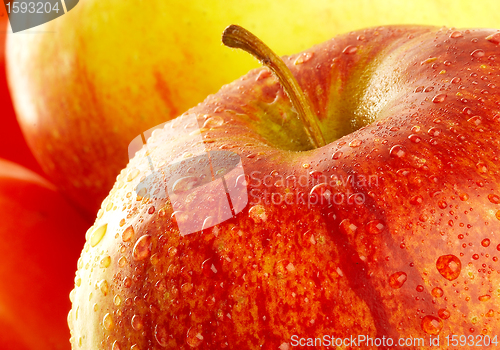 Image of Fresh apple with drops of water.