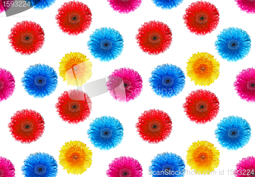 Image of flowers gerbers seamless background