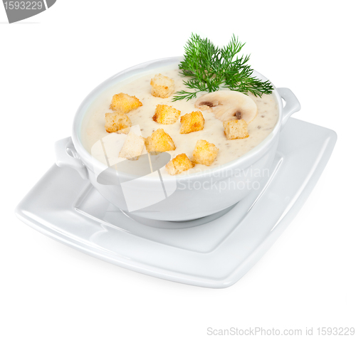 Image of Mushroom soup