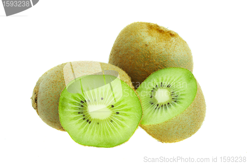 Image of kiwi