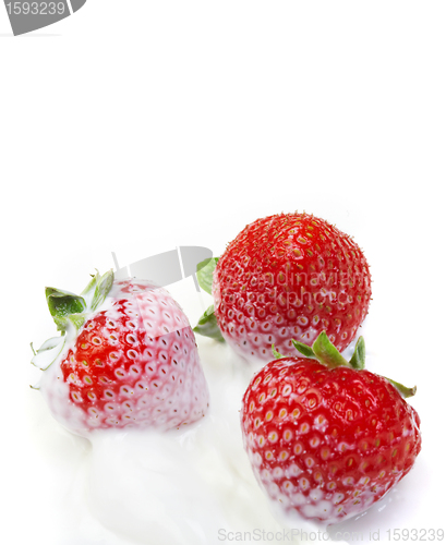 Image of Strawberry