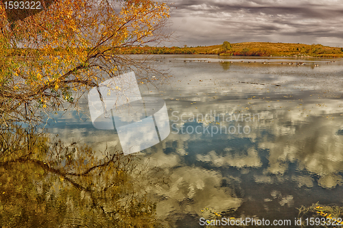 Image of The pond