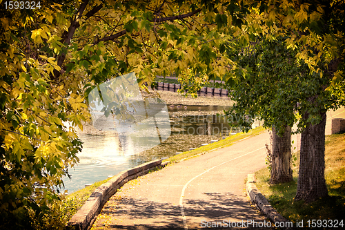 Image of The walkway by the pond