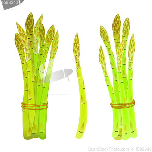 Image of asparagus spears tied in a bunch