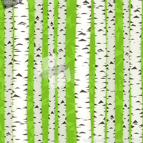 Image of Birch Stems  seamless,